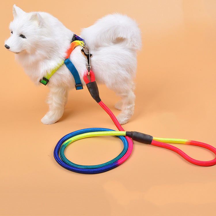 PawBelle Luxe Dog Leash