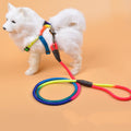 PawBelle Luxe Dog Leash