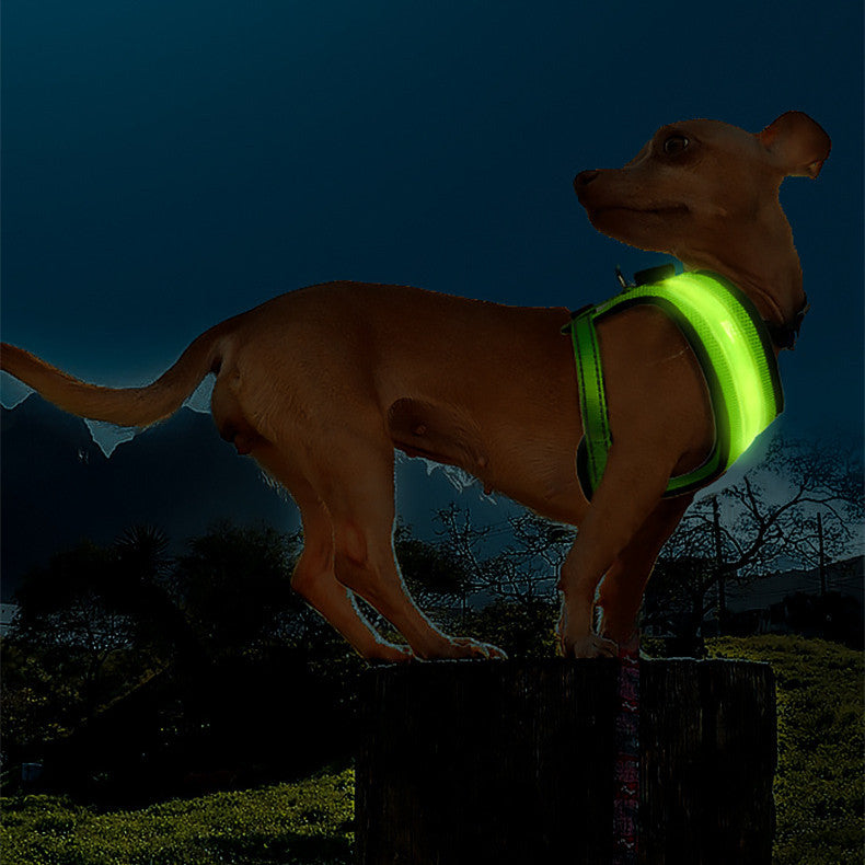 LED Dog Vest Harness with USB Charging