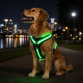 LED Dog Vest Harness with USB Charging
